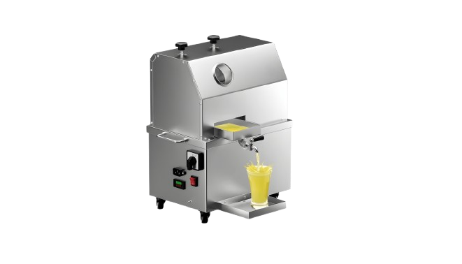Commercial Fruit And Vegetable Juicer Machine